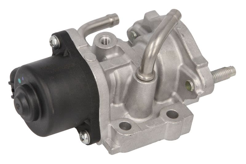 Válvula EGR DELPHI EG10758-12B1 para Toyota RAV 4 IV