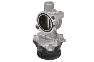 Válvula EGR BORG WARNER