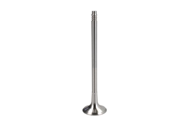 Válvula de escape FRECCIA R6775/BMAR para BMW Serie 1 (E81) 2006-2011