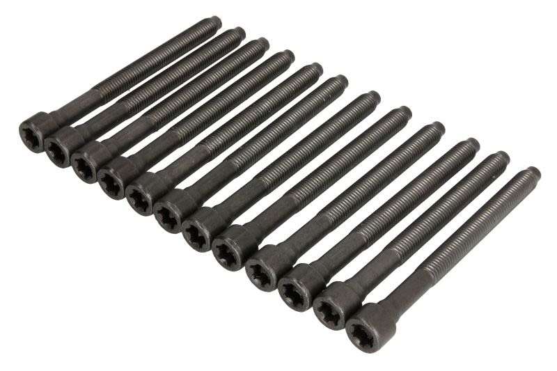 Juego de pernos de culata ELRING 005.610 para Volkswagen Golf V