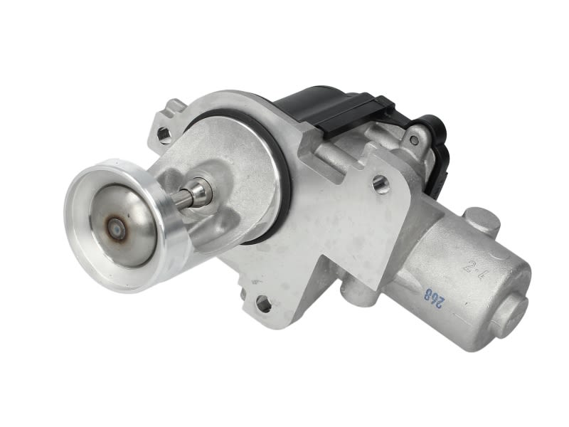 Válvula EGR PIERBURG 7.00365.06.0 para Volkswagen Bo
