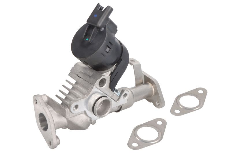 Válvula EGR HELLA 6NU 014 864-981 para BMW Serie 1 (E81) 2006-2011
