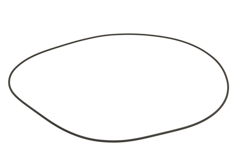 Empaquetadura, diferencial ZF 0634.100.284
