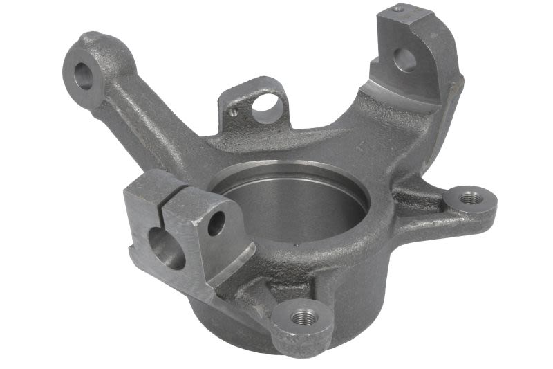 Mangueta de dirección REINHOCH RH08-5021 para Renault Clio II