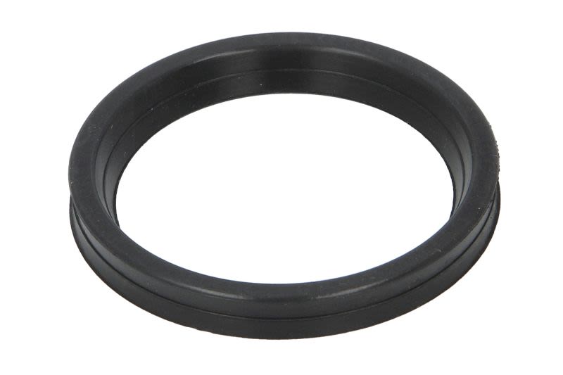 Anillo de sellado para manguera de aire de carga THERMOTEC DCR271TT para Nissan Qashqai II
