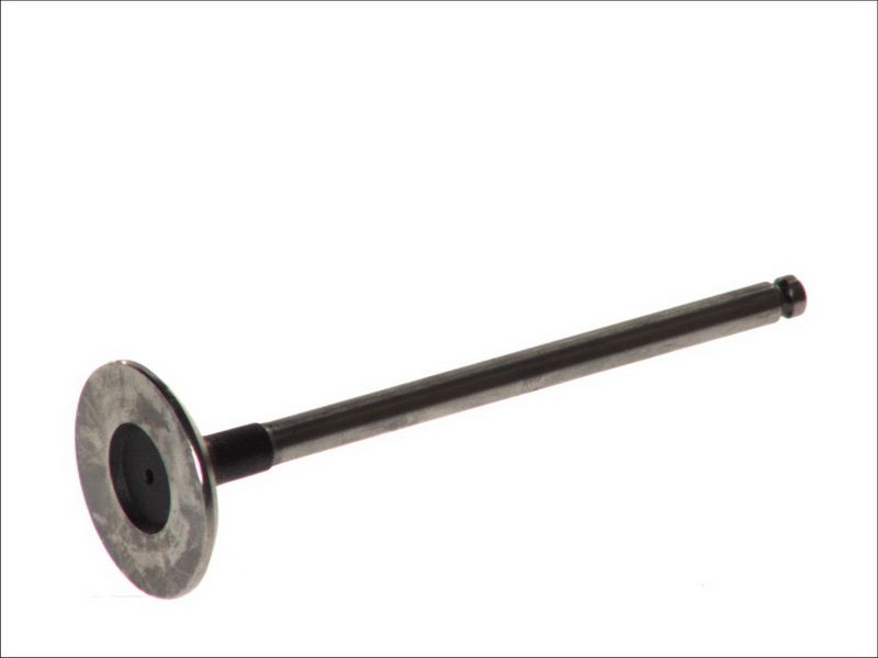 Válvula de admisión FRECCIA R6113/S para Citroen C4