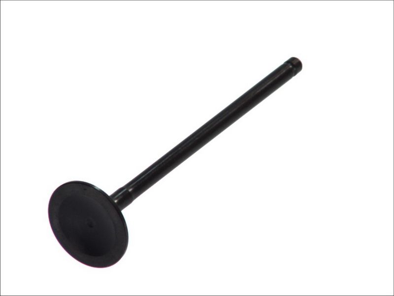 Válvula de escape FRECCIA R6404/RNT para Honda Accord V