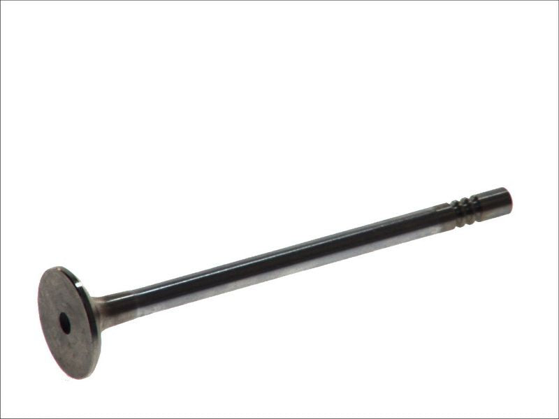 Válvula de escape FRECCIA R6168/RCR para Ford Transit
