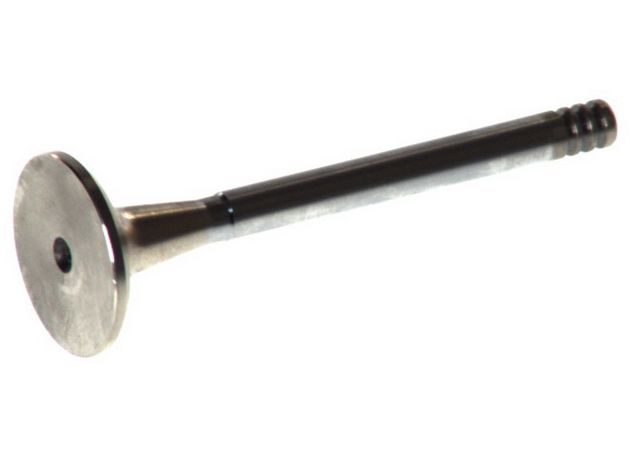 Válvula de escape FRECCIA R4202/RCR para Volkswagen Passat B2