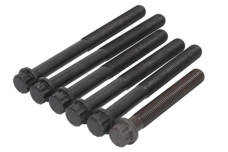 Juego de pernos de culata REINZ 14-32060-01 para Mercedes-Benz O 303