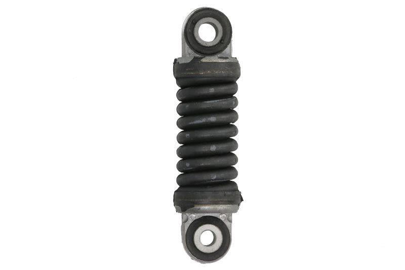 Polea tensora de correa multicanal HUTCHINSON T5021 para MAN TGM I D0824LFL02-D2876LF25