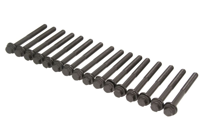 Perno de culata REINZ 14-10415-01 para Dodge Challenge