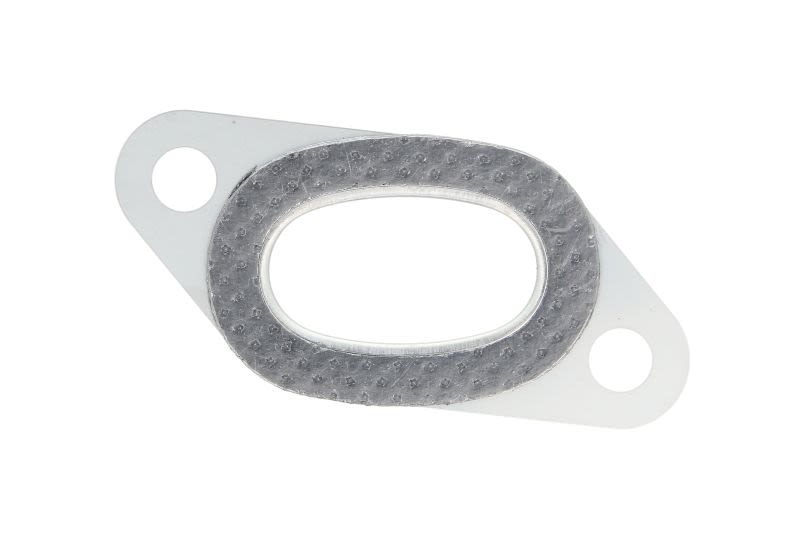 Empaquetadura de múltiple de escape REINZ 71-31079-00 para Volvo B6