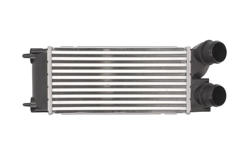Enfriador de aire de carga (intercooler) THERMOTEC DAP002TT
