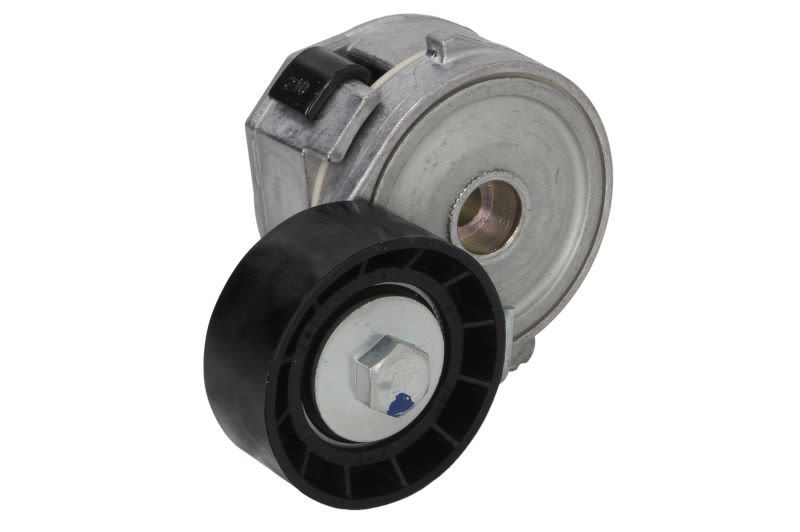 Palanca tensora de correa multicanal INA 534 0255 10 para Peugeot Expert