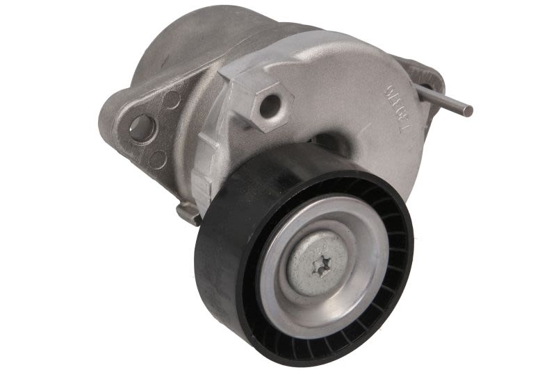 Palanca tensora de correa multicanal INA 534 0658 10 para Citroen C4 II