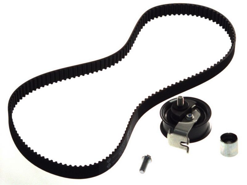 Kit de correa de distribución INA 530 0170 10 para Volkswagen Golf IV