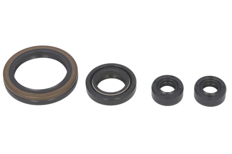 Juego de retenes de motor WINDEROSA W822150 para Suzuki LT