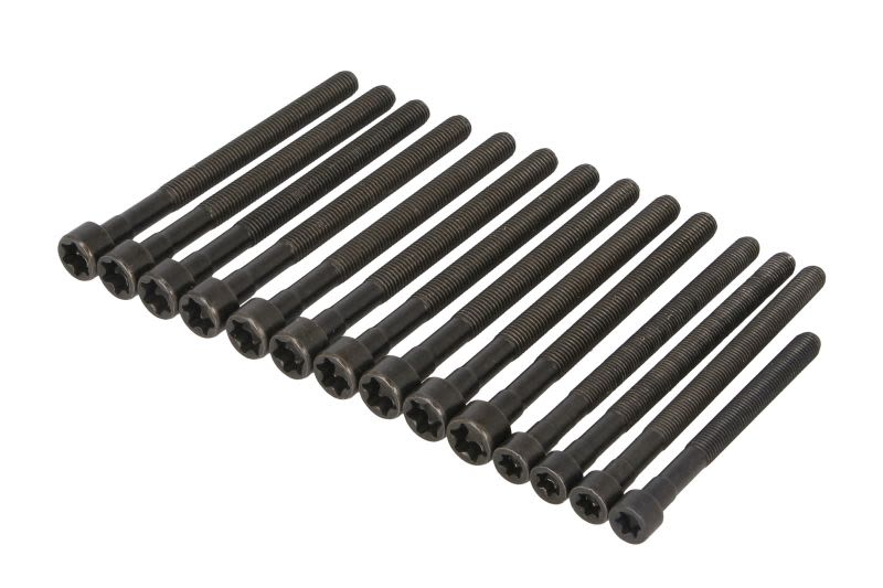Juego de pernos de culata ELRING 270.190 para BMW Serie 1 (E81) 2006-2011