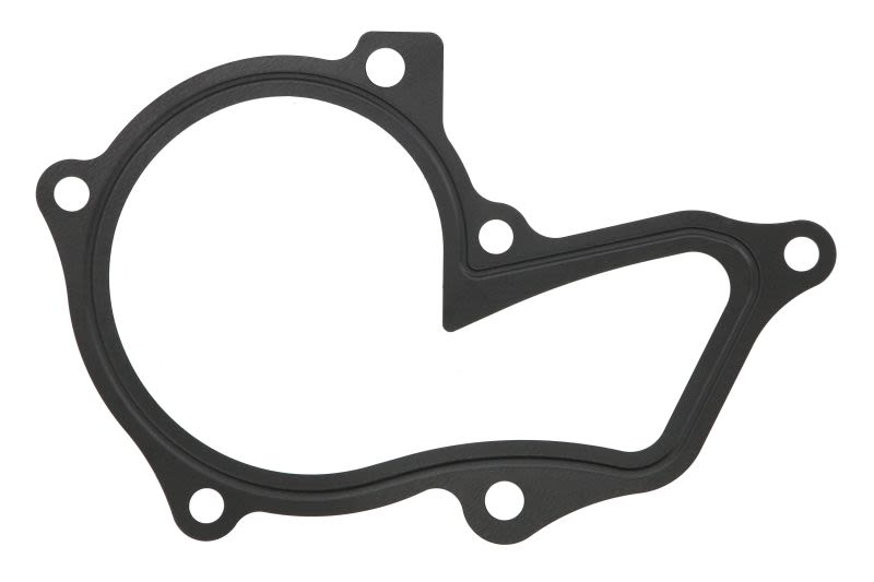 Empaquetadura de bomba de agua AJUSA 00731700 para Ford Fiesta V