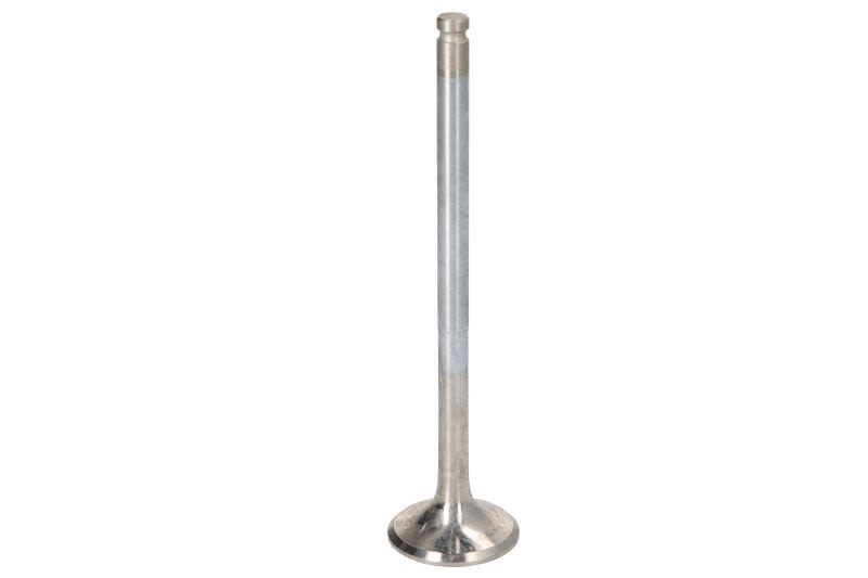 Válvula de escape FRECCIA R4929/RCR para Mercedes-Benz Clase C (W202) 1993-2000