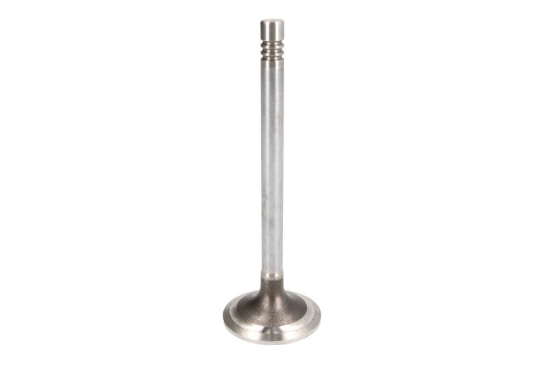 Válvula de admisión FRECCIA R4631/RCR para Ford Transit