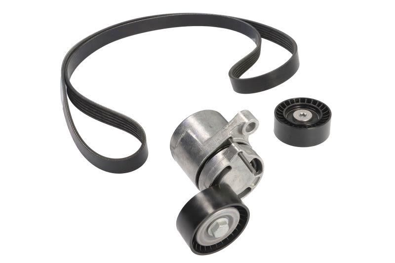 Juego de correa multinervada INA 529 0307 10 para BMW Serie 1 (F20) 2011-2019