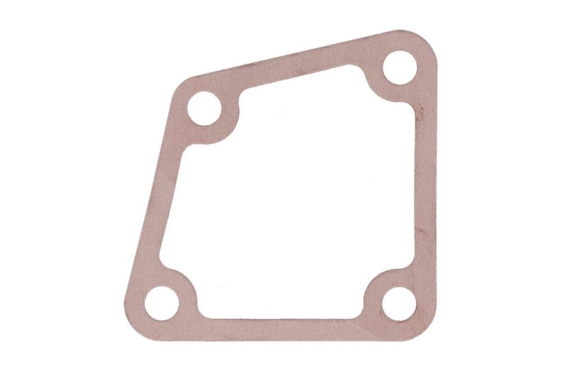 Empaquetadura de carcasa de termostato OE DEUTZ 04124252-DEUTZ para Merlo P 27.10