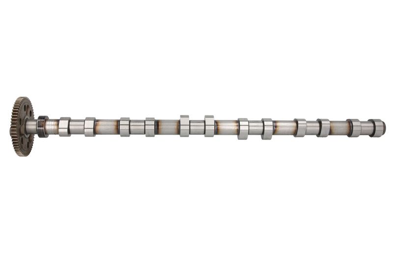 Árbol de levas MOTIVE T2136 para BMW Serie 3 (E46) 1997-2006