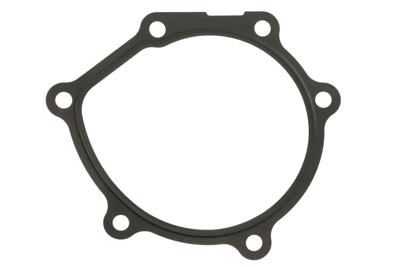 Empaquetadura de bomba de agua ELRING 003.130 para Chevrolet N