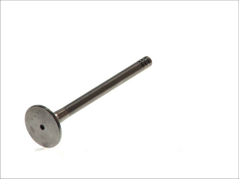 Válvula de escape FRECCIA R4809/R para Volkswagen Golf III