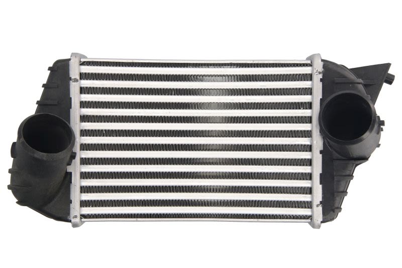 Enfriador de aire de carga (intercooler) THERMOTEC DAF009TT