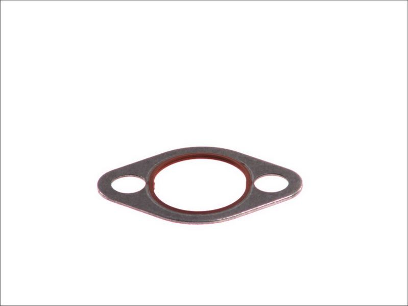 Sello de tubuladura del sistema de refrigeración LEMA LEM24103.00