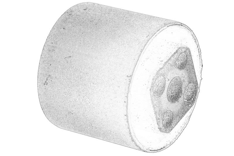Buje de travesaño de eje OE VW 7L6 525 337 para Audi Q7
