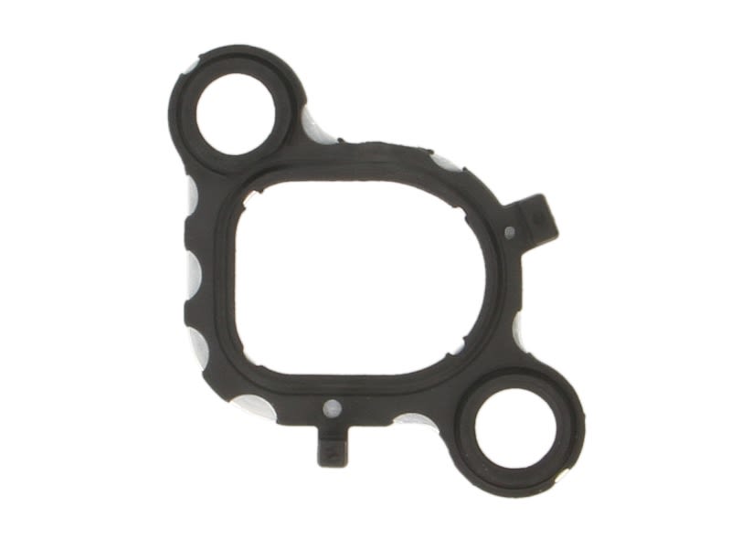 Empaquetadura de múltiple de admisión REINZ 71-36079-00 para Volkswagen Transporter T5