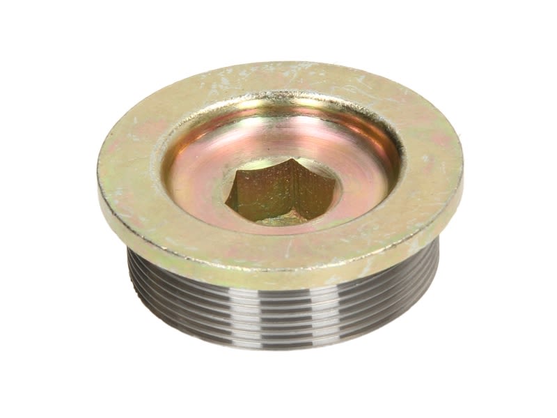 Tapón roscado, grupo del eje DT SPARE PARTS
