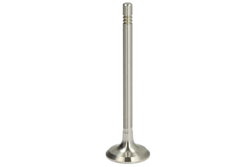 Válvula de escape AE V94405 para Volkswagen Golf IV