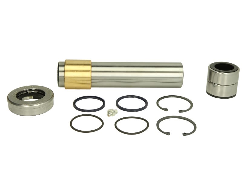 Kit de reparación de mangueta LEMA 406 para DAF LF