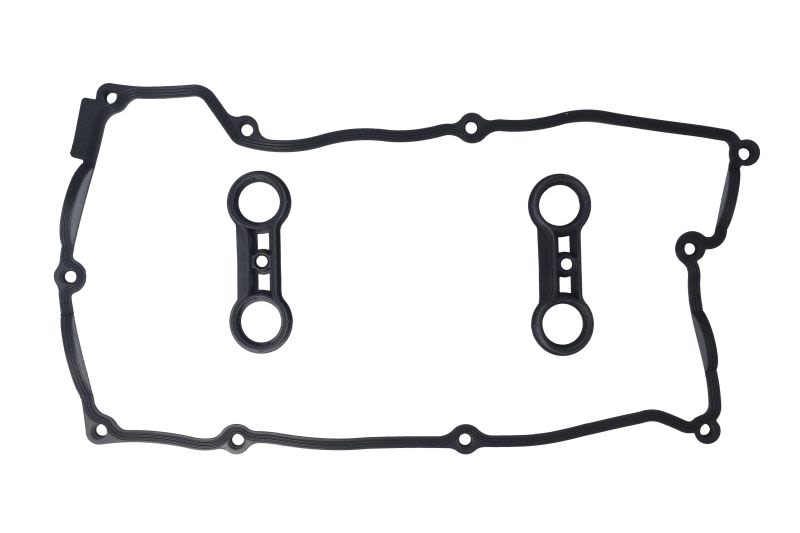 Juego de empaquetaduras de tapa de válvulas REINZ 15-37283-01 para BMW Serie 1 (E81) 2006-2011