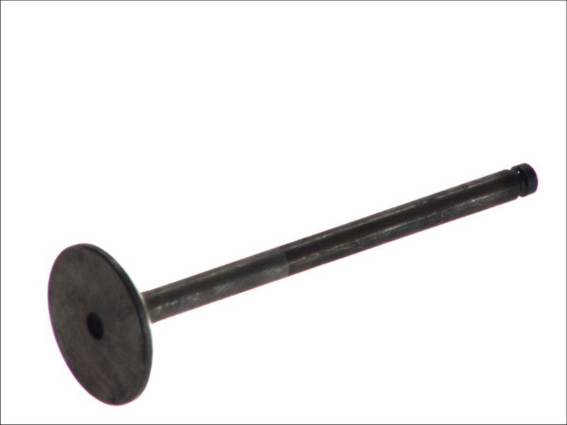 Válvula de admisión FRECCIA R6102/BMNT para Mitsubishi L 300 III