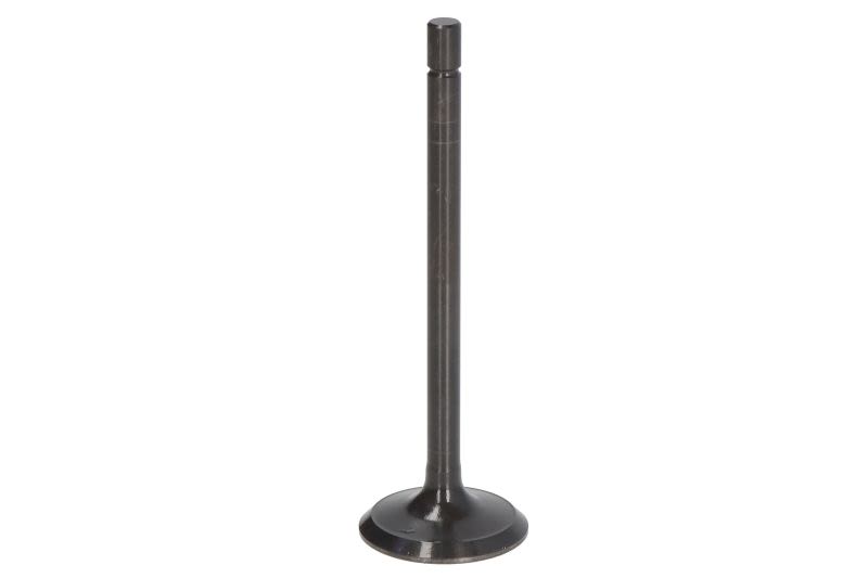 Válvula de escape MAHLE 2114684 para Chevrolet Camaro