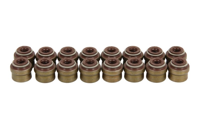 Juego de retenes de vástago de válvula REINZ 12-12276-01 para Volvo V40