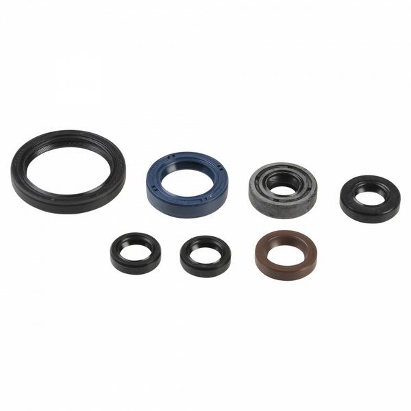 Juego de retenes de motor ATHENA P400485400069 para CCM MX