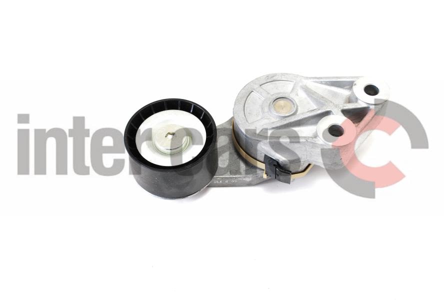 Palanca tensora de correa multicanal INA 534 0091 20 para Volvo FM