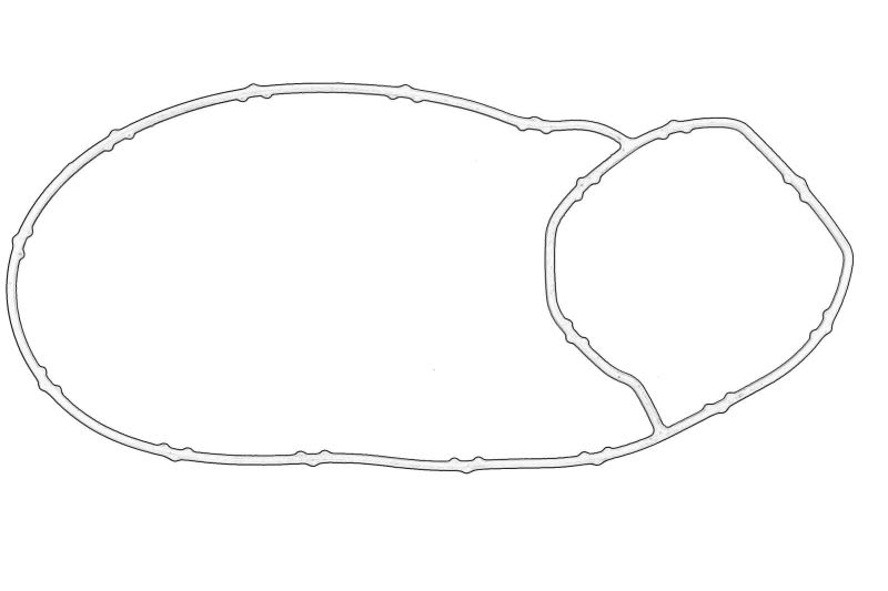 Empaquetadura de bomba de agua OE VW 06L 121 043B para Audi A3