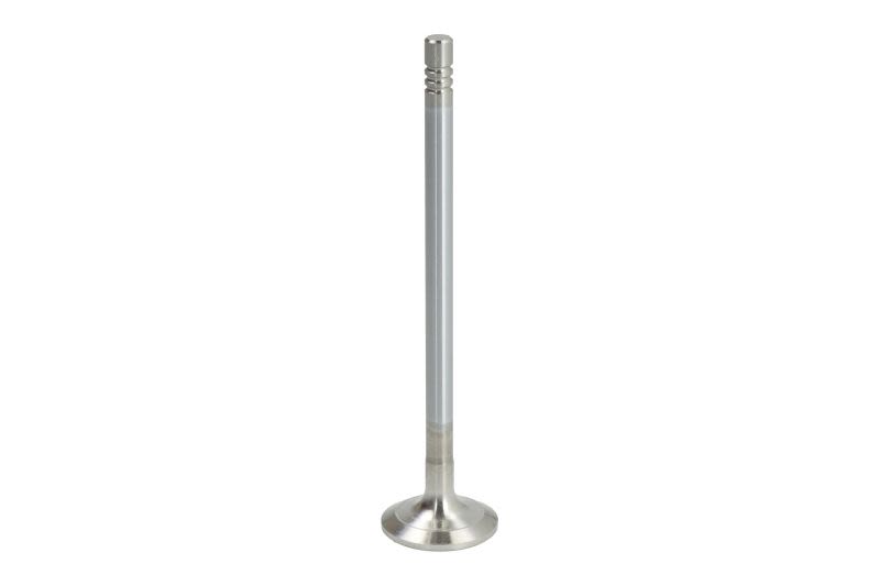 Válvula de escape AE V95240 para Nissan Juke