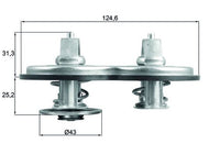 Termostato, refrigerante MAHLE