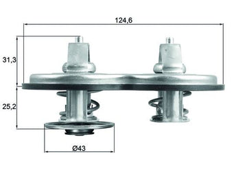 Termostato, refrigerante MAHLE
