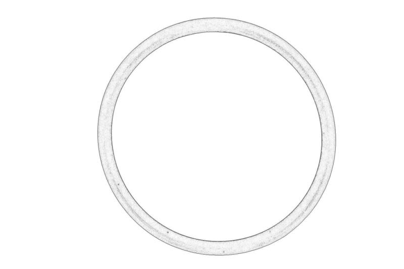 Empaquetadura de válvula EGR OE FORD 1696193 para Ford Fiesta VI