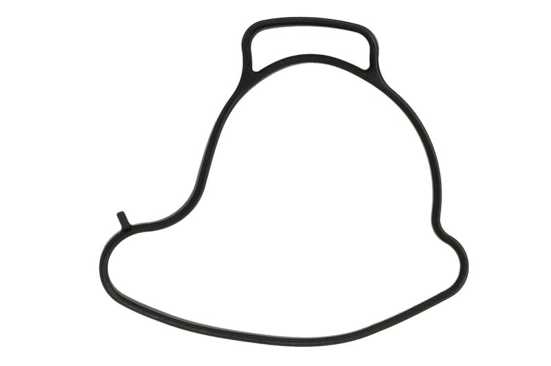 Empaquetadura de bomba de agua WSM 008-599-29 para Spark 60